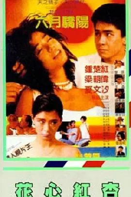 在线观看的网站