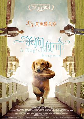 富婆spa被扣高潮456