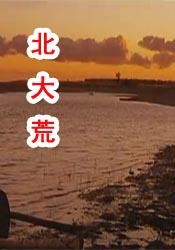 我妻子的味道