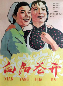 欢乐谷视频在线观看免费版大全
