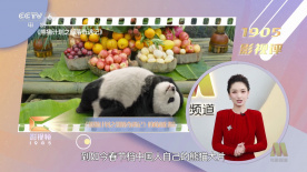 豪门浪荡史赵无为免费阅读