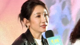 欧美一区二区三区不卡视频